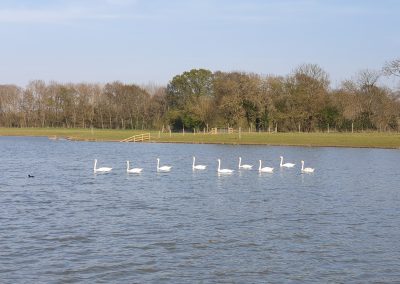 Carp Fishing Lake, Kent