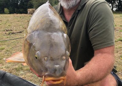 Carp Fishing, Kent