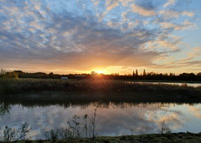 Carp Fishing Lake, Kent