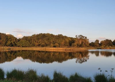 Carp Fishing Lake, Kent