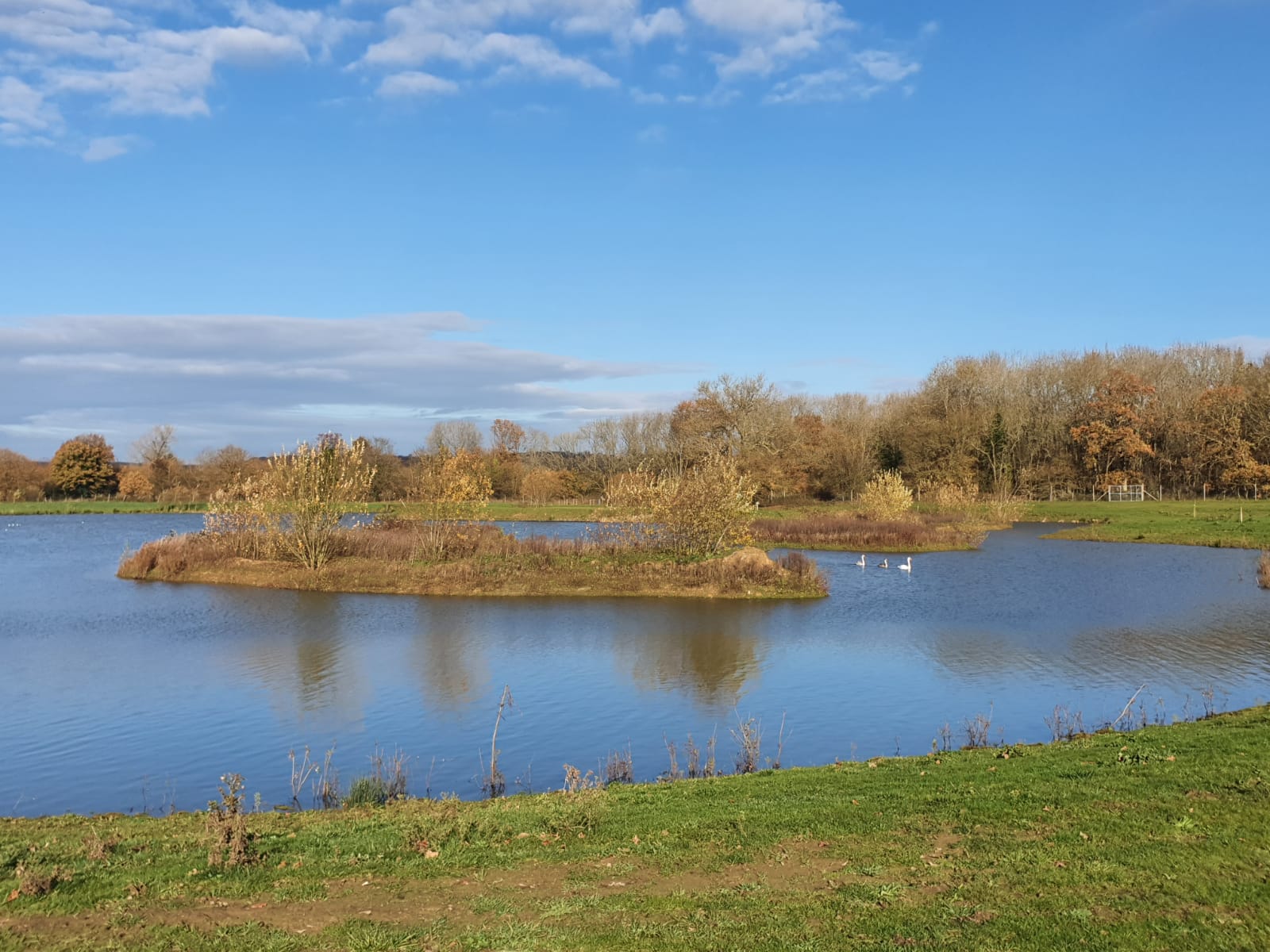 Carp Fishing Lake, Kent